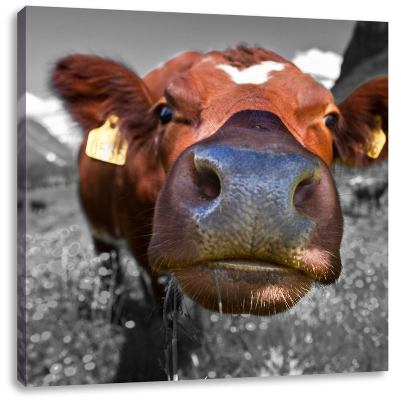 East Urban Home FullyGrown Cow in Mountain Meadow Photographic Print